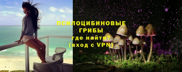 PSILOCYBIN Волосово